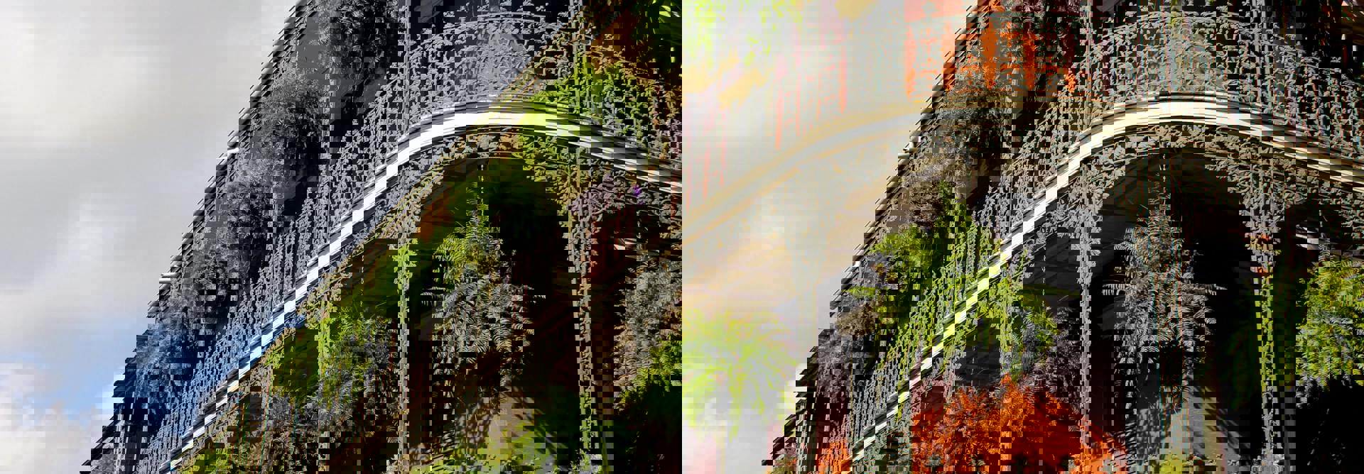 Pexels Visualsbysade 1042177