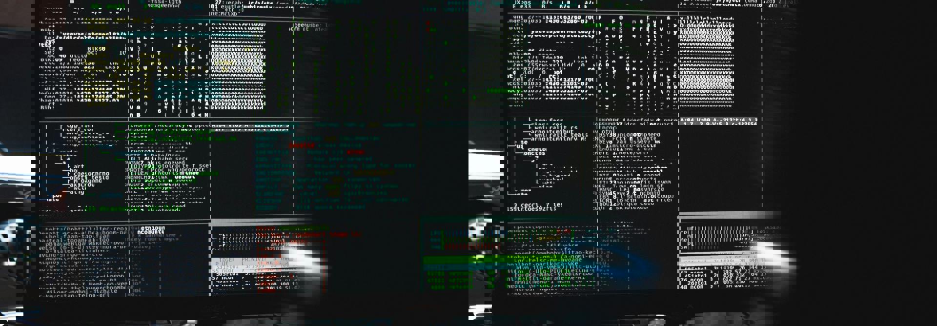 Pexels Tima Miroshnichenko 5380664