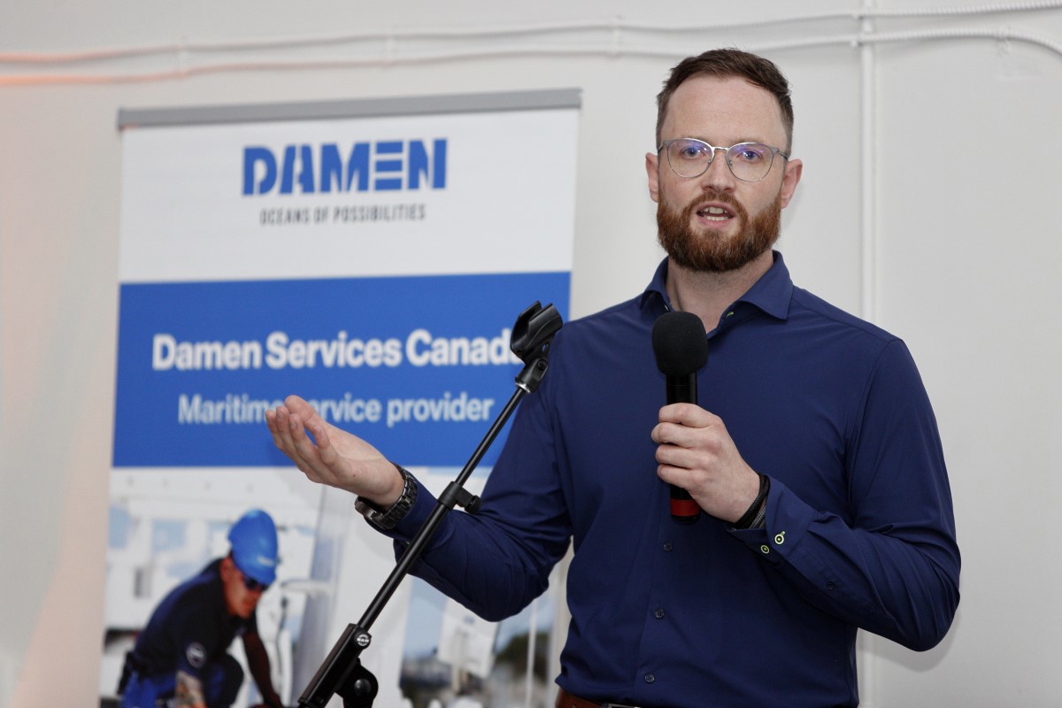 Damen 4