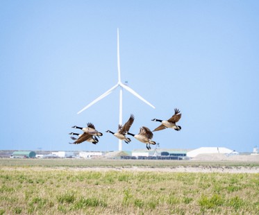 J9uqpjh2hn8eznymxo4myvpp2qgwt2avtifxzqsx