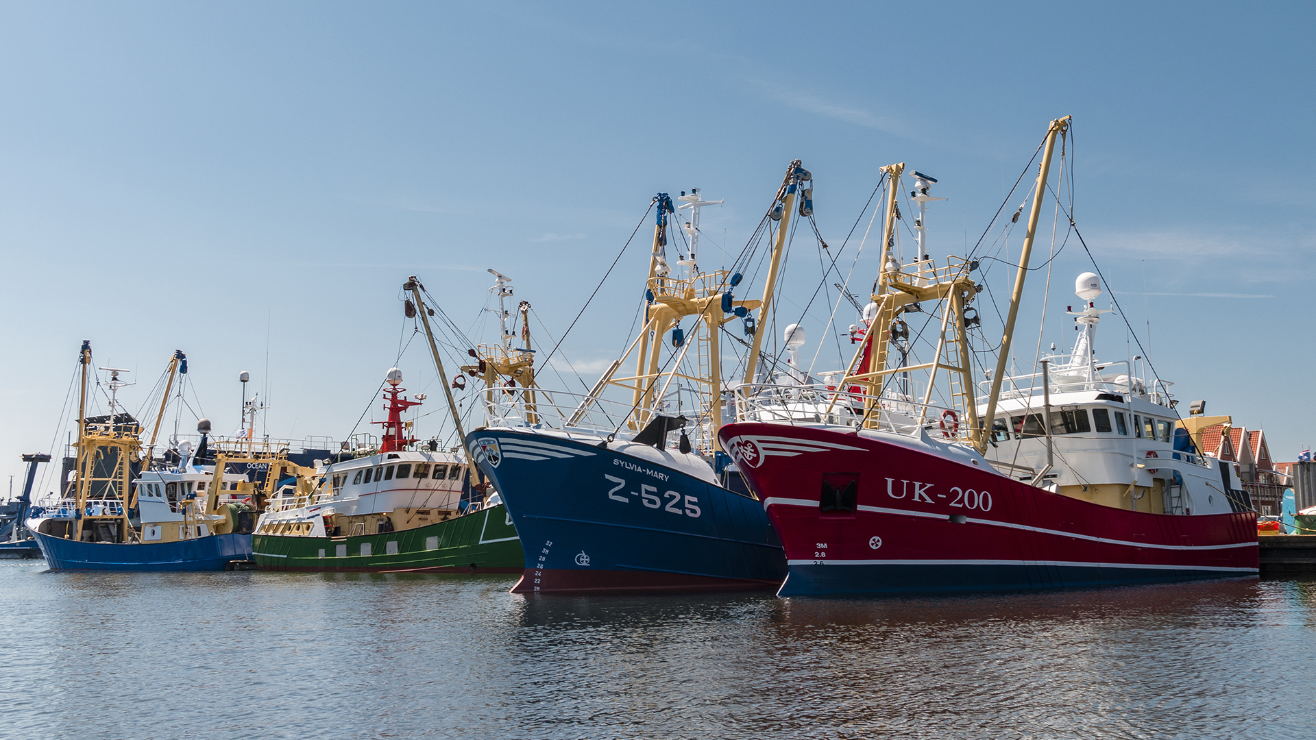 MSNF Header