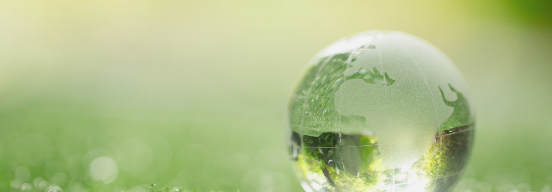 Close Up Crystal Globe Resting Grass Forest