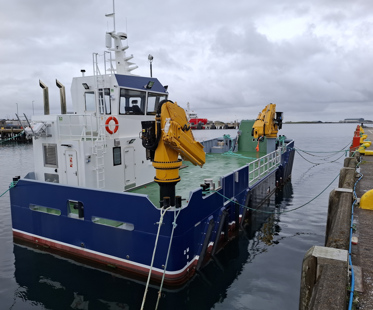 Damen (34)