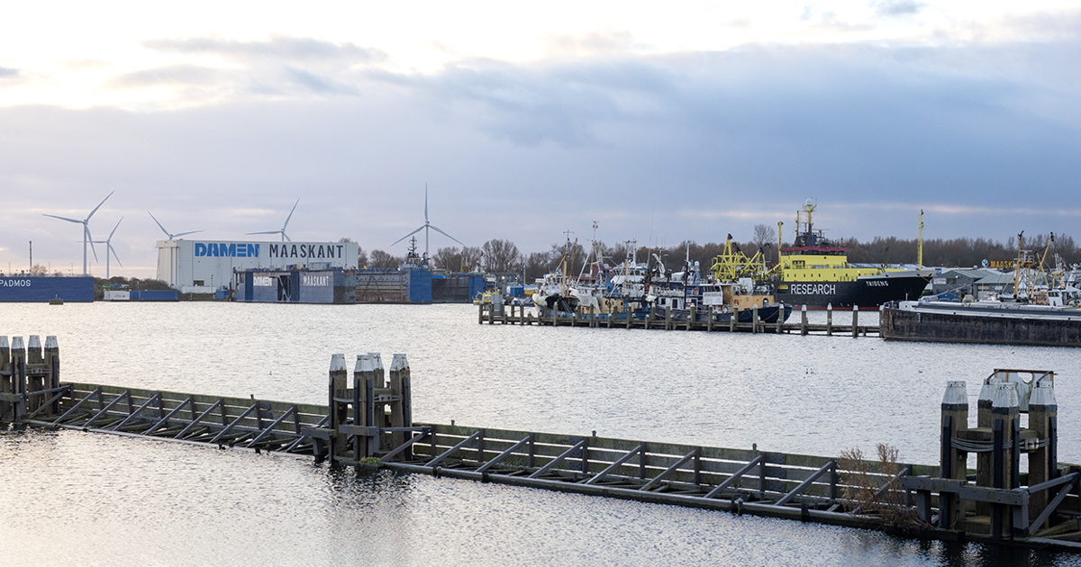 damen-maaskant-outside.jpg?width=1200&height=630&v=1db7301952f53f0