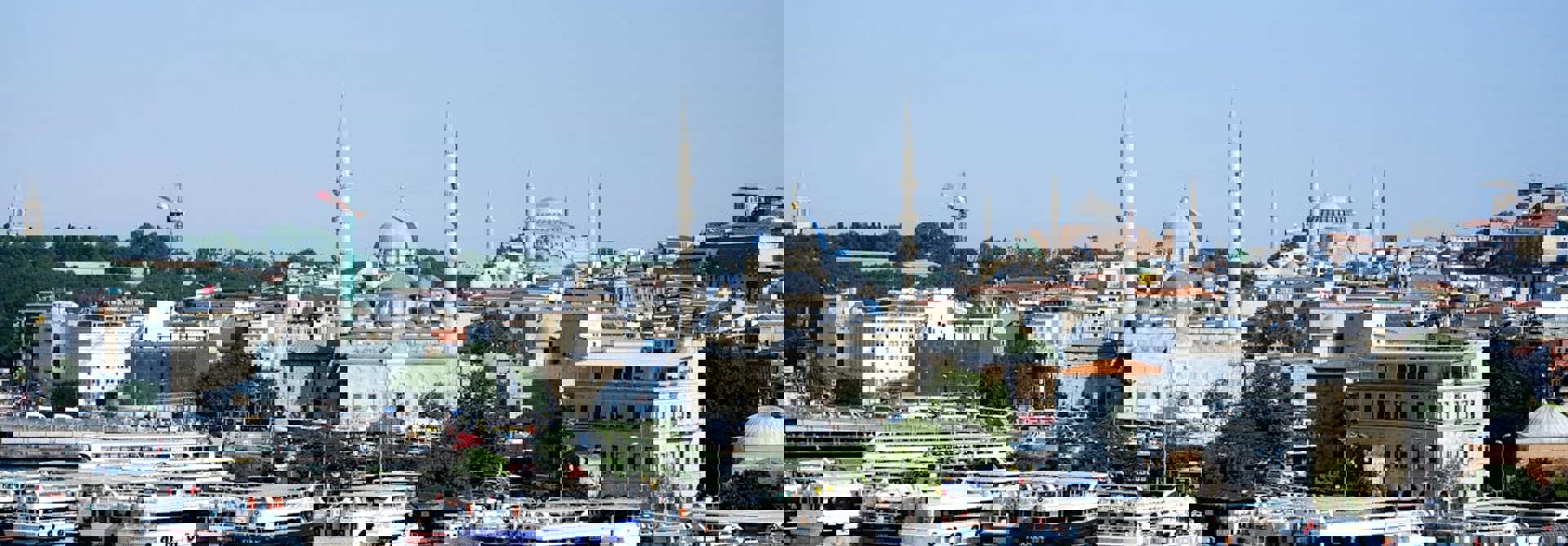 Pexels Matreding 12624854