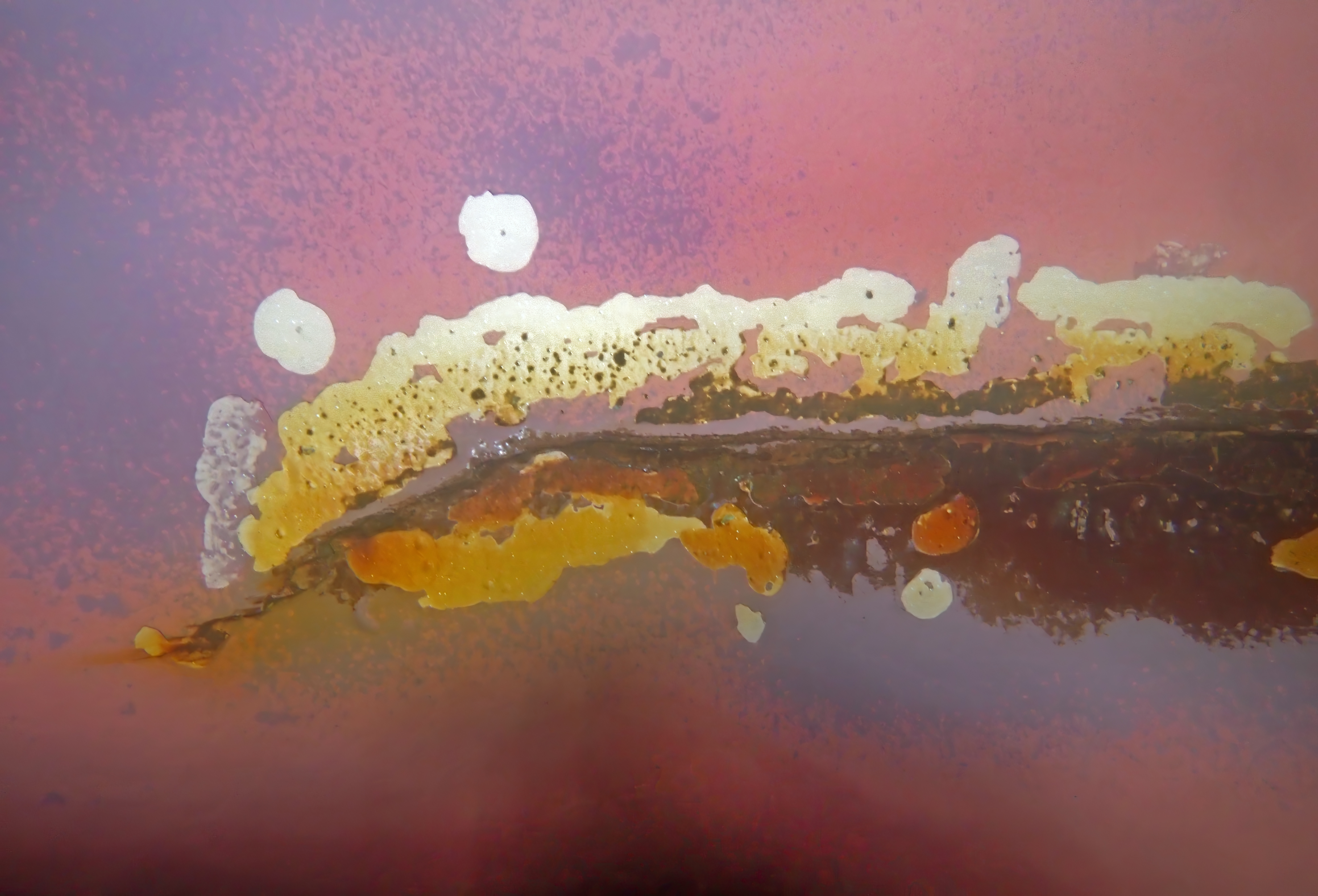 07C35145 466D 4Afe Da31 3F8b9f06bd2c