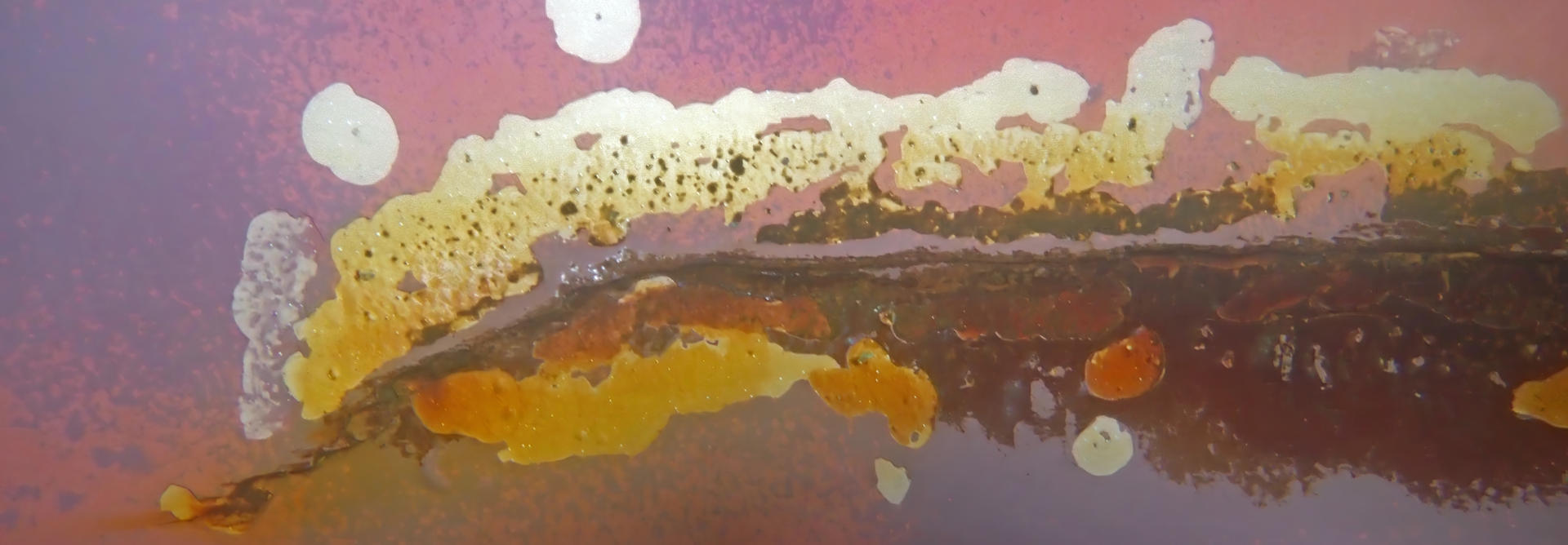 07C35145 466D 4Afe Da31 3F8b9f06bd2c