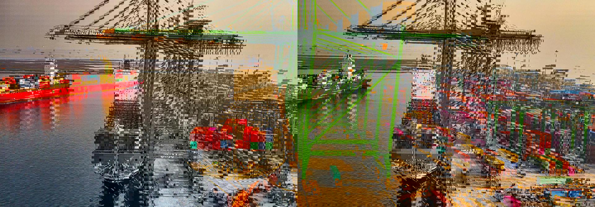 Pexels Tomfisk 3856440