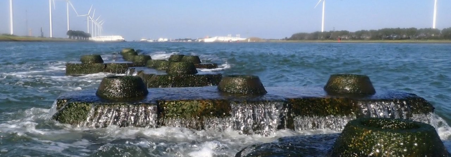 10. Reef In Action With Famous Maeslantkering On The Backdrop (1)