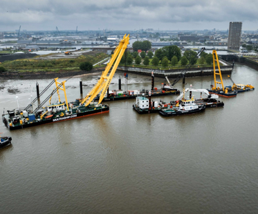 Multraship (3)