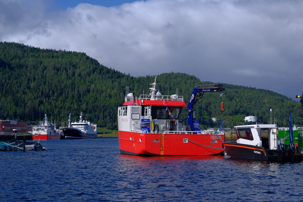 Damen (36)