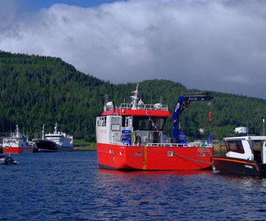 Damen (36)