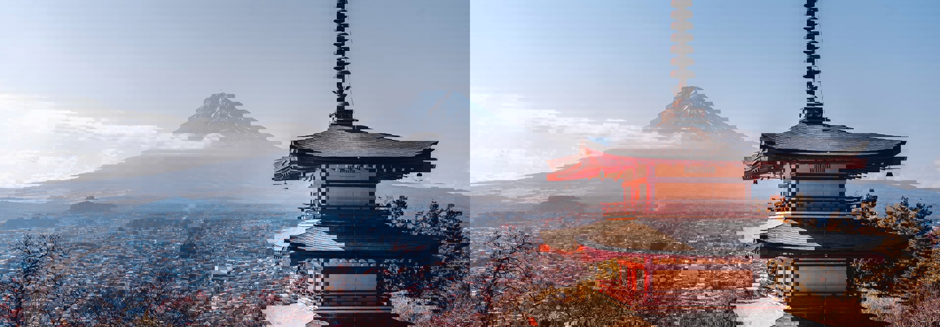 Pexels Willian Justen De Vasconcellos 15829427