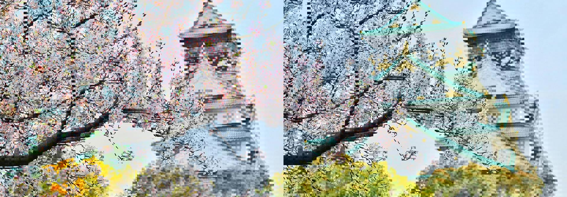 Pexels Bagus41 1440476