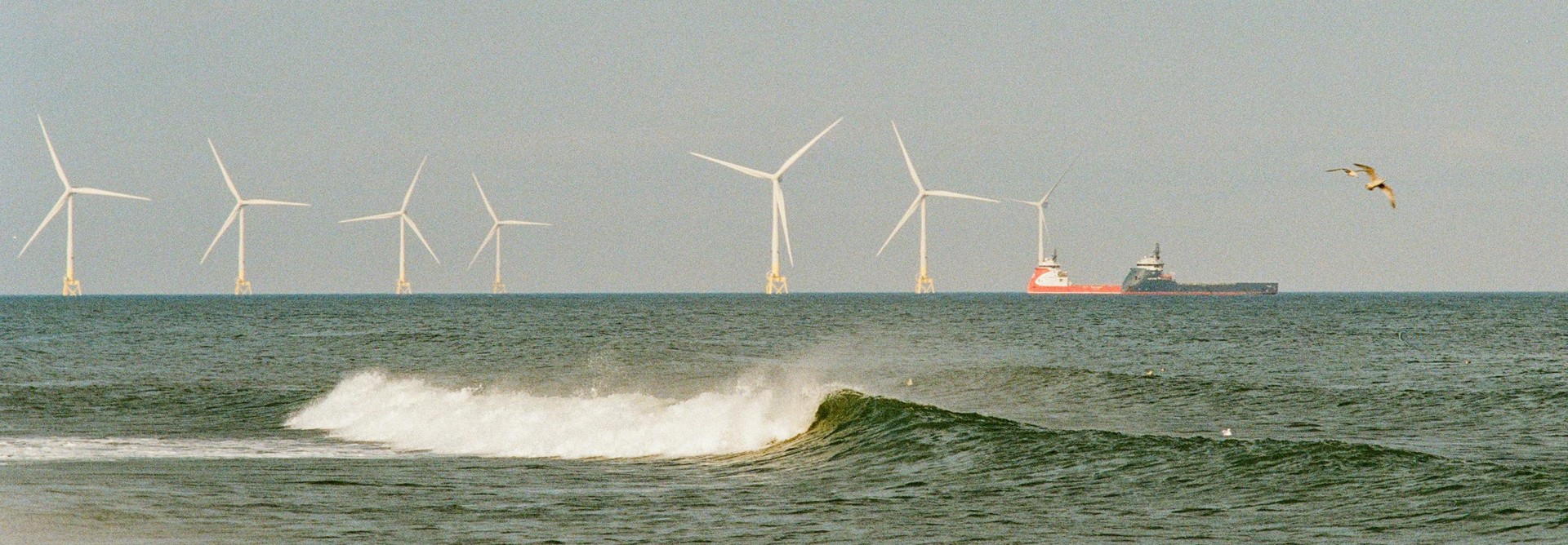 Pexels Ben Jackson 102496908 31656794