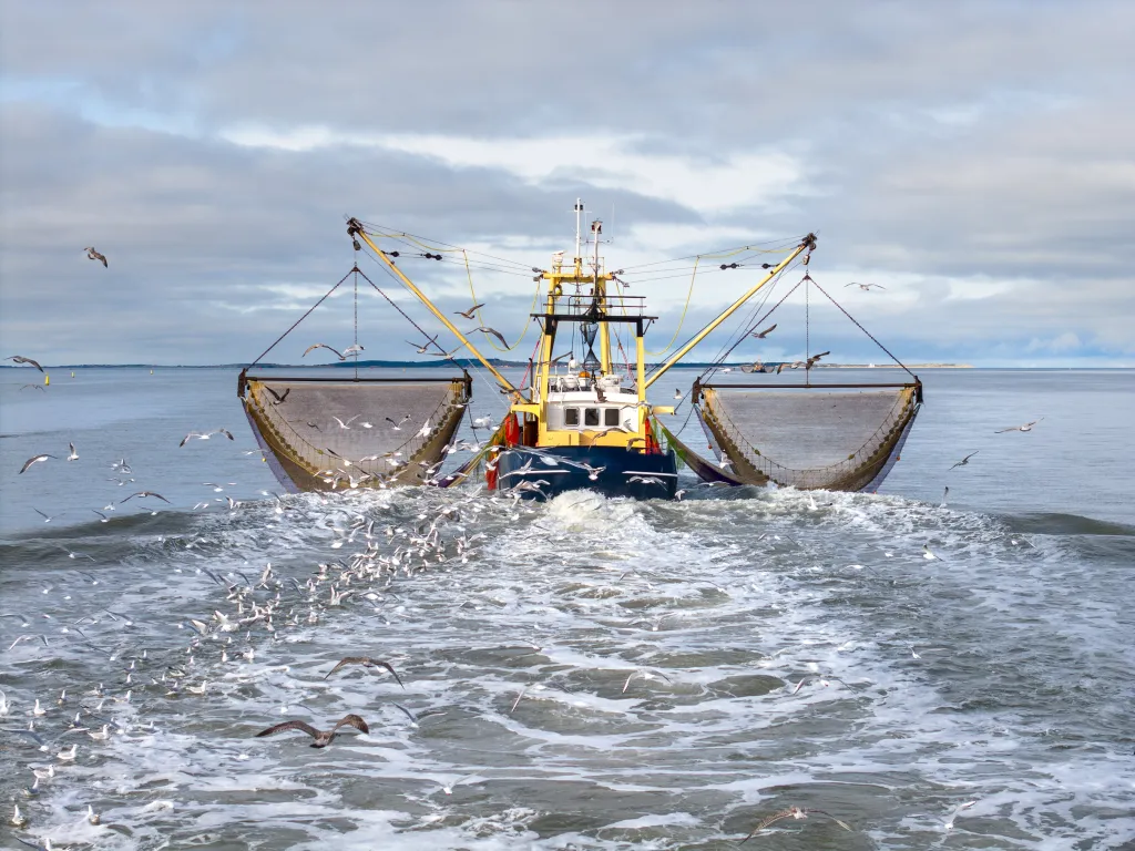 Fishing Boat Trawler Shutterstock 2545783377 4031X3023.Jpg