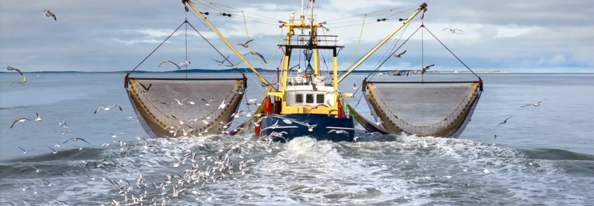 Fishing Boat Trawler Shutterstock 2545783377 4031X3023.Jpg